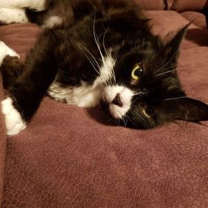 Meet your Posher, Riley